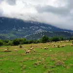 Helicon Muses Friendly Mountain *