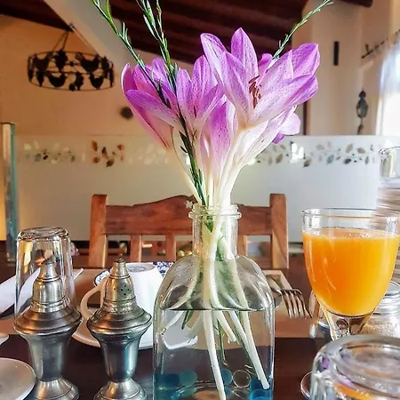 Helicon Muses Friendly Mountain Evangelístria