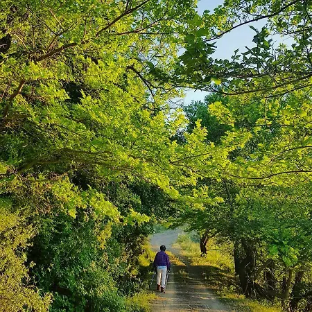 Helicon Muses Friendly Mountain Hotel *