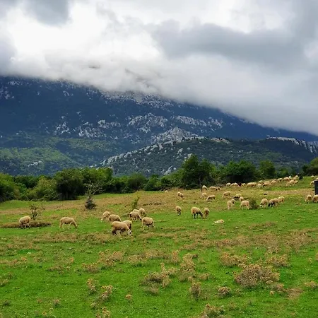 Helicon Muses Friendly Mountain *