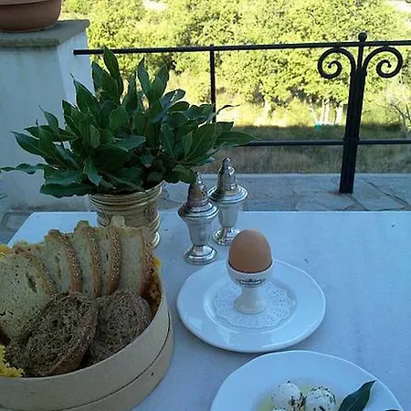 Helicon Muses Friendly Mountain Hotel *