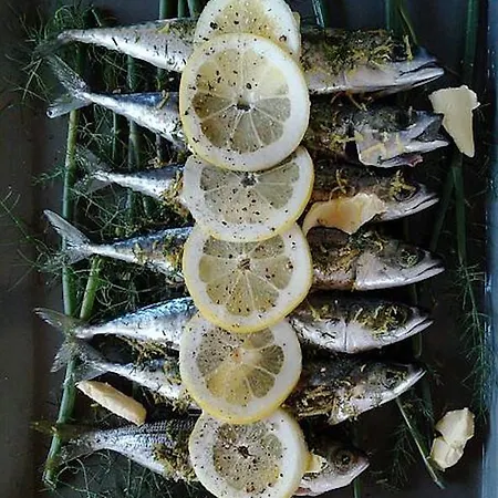 Helicon Muses Friendly Mountain Hotel Evangelístria