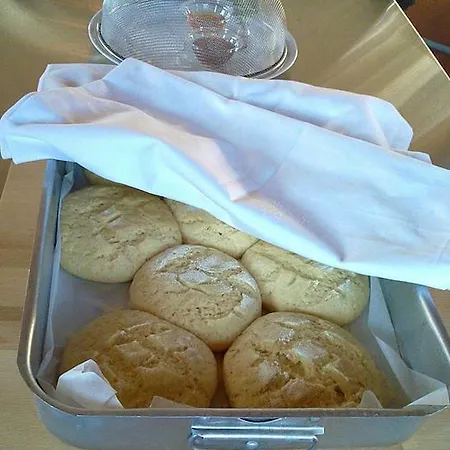 Hotel Helicon Muses Friendly Mountain Evangelístria