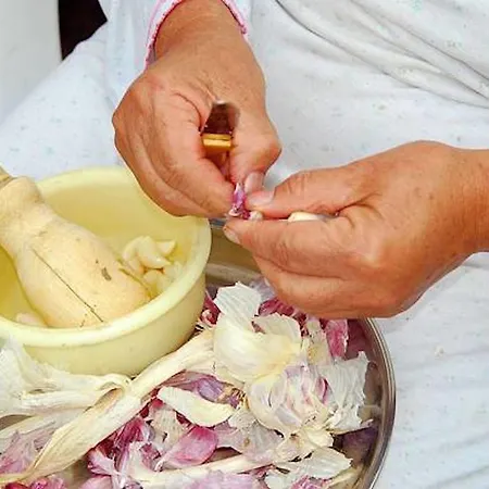 Helicon Muses Friendly Mountain * Evangelístria