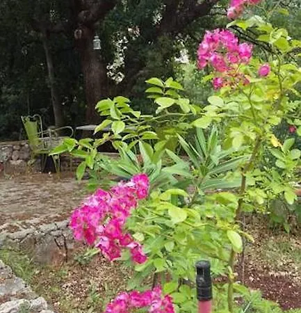 Hotel Helicon Muses Friendly Mountain *