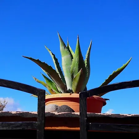 Helicon Muses Friendly Mountain Hotell *