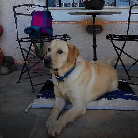 Hotel Helicon Muses Friendly Mountain