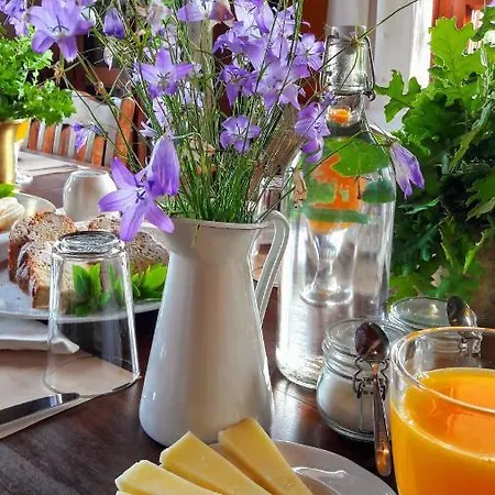 Helicon Muses Friendly Mountain Hotel Evangelístria